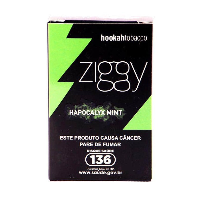 Essência ZGY Menta (pct c/10)